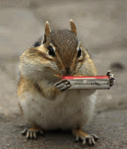 tumblr_ow3w2sAEnv1ssuihjo1_400.gif