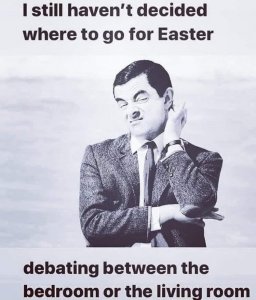 797543.jpeg