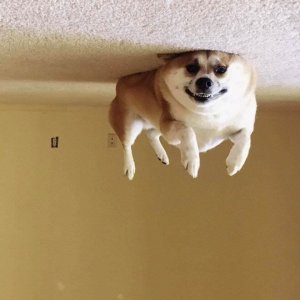 320E254A-5187-40ED-8DD7-1BB998E8EED7.jpeg