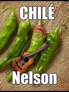 4D1A1776-48DE-42CE-AE6A-AA5337B20B41.jpeg