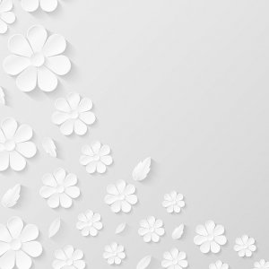 paper-flower-background-4794429_640.jpg