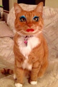 Beautified @.jpg