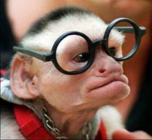 Funny Monkey in Glasses_7.jpg