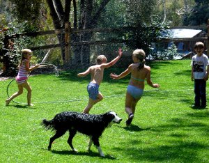 kids-frolicking.jpg