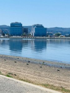 Facebook campus.jpg Facebook campus.jpg