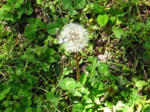 50D17B8F-C6BD-4CCC-B4D0-4A2B158CE281.jpeg