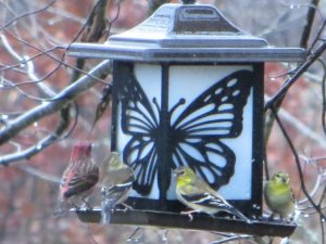 IMG_0057.jpg