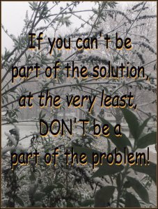 PART OF PROBLEM.jpg PART OF PROBLEM.jpg