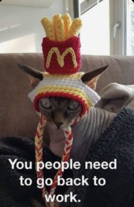 ad0a30c8-900e-46eb-a536-000f33ae18ae.jpeg