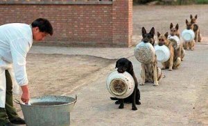 Queue  @.jpg