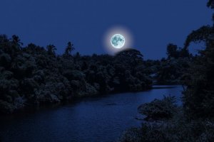 moon-3632080_960_720.jpg