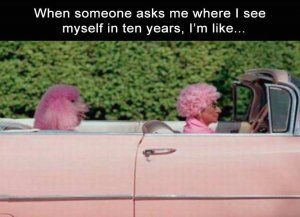 z-funny-18-8.jpg
