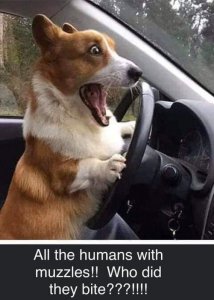 DA6C8B02-5437-4899-B31D-5674AD90E652.jpeg
