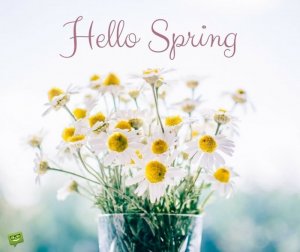 Hello-Spring-5.jpg