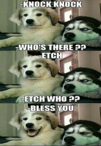D2F4FFD5-9CC3-4AAF-8F03-98B7EE36BA3E.jpeg