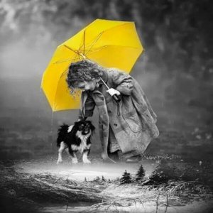 5da9b3cd1dd90fb1c1a16d7e8ed823e1--finding-neverland-albert-camus.jpg