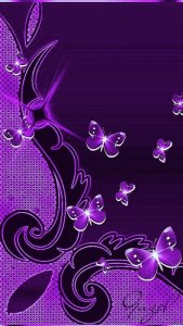 bca8c91e7ac6a793d2289e901bdc4fd8.jpg