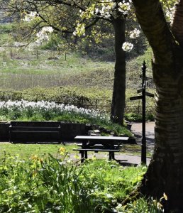 DSC_4842.jpg