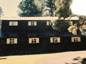229.JPG