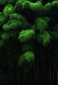 93046290_2869354149812319_2705091108781686784_o.jpg