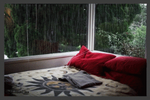 ae8792e9c01c4e2813fd24ef1b551e85.gif