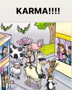 FB_IMG_15872399848592163.jpg