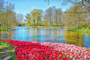 beautifulspring2.jpg
