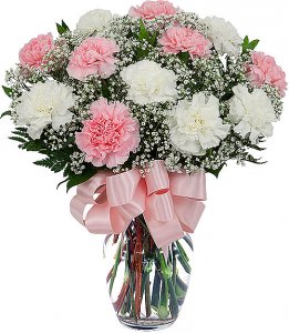 twelve-pink-and-white-carnations.jpg