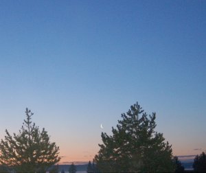 moon sliver.jpg
