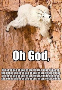 B7E565B1-390C-4554-B348-78B7A39DDCA1.jpeg
