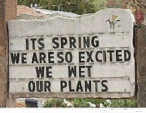 spring.jpg