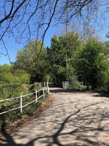 hollydolly road tree shadow fence.jpg