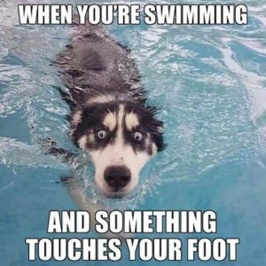 swimming.jpg
