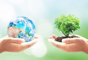 earth-tree.jpg