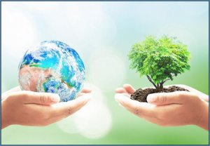 earth-tree.jpg
