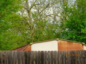 D30C61DB-CBC7-4F10-A830-8D4F61C12F4C_1_201_a.jpeg