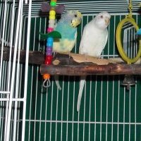 lennylucy2.jpg lennylucy2.jpg