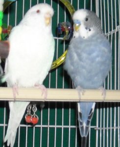 dannylucy2.jpg dannylucy2.jpg