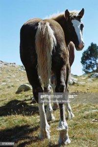 gettyimages-87906864-612x612.jpg