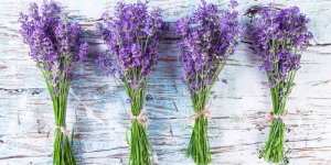 ways-to-use-lavender-1519763196.jpg