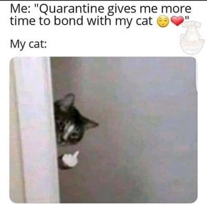 FB_IMG_15875153998778058.jpg