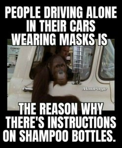 93d3b0ce-b004-4c4b-b738-107ba11c6026.jpeg