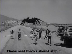 spider.jpg