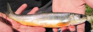 20111207163445.jpg