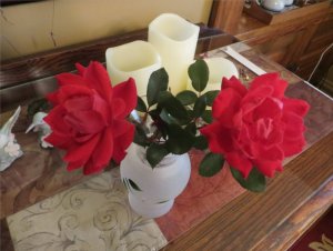 IMG_roses.jpg