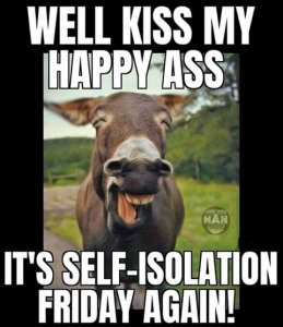 FB_IMG_15877769523114124.jpg