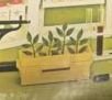 hydroponics.jpg
