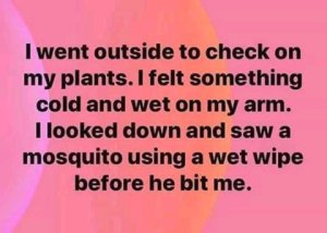 FB_IMG_15877813213321897.jpg