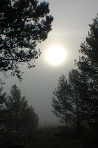 sol.jpg