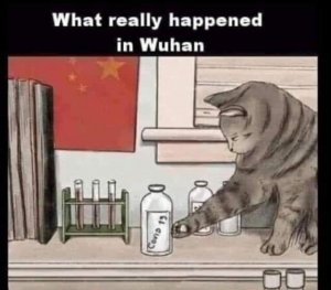 what happened.jpg